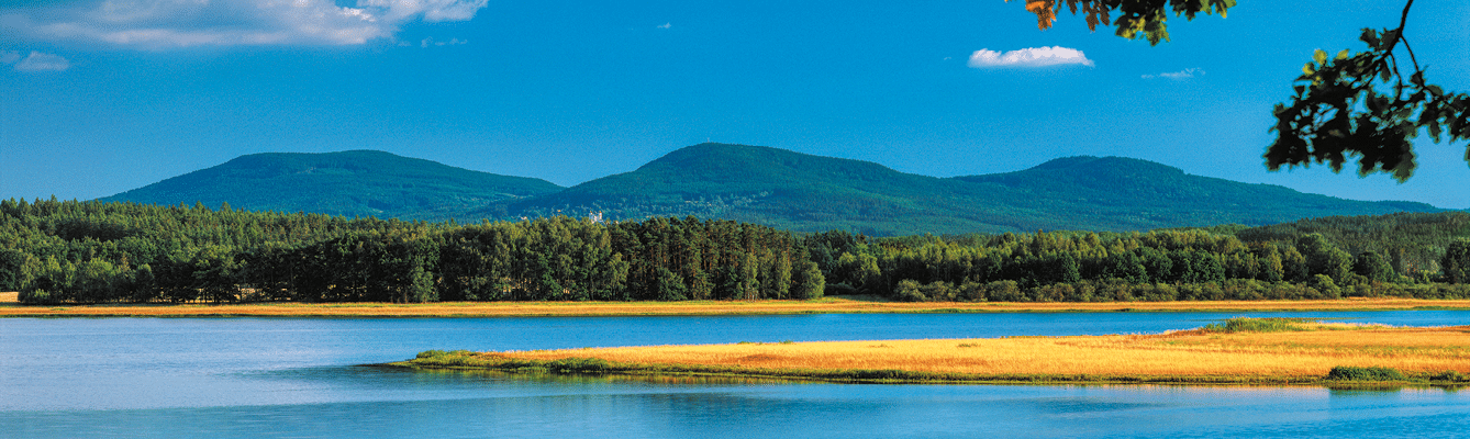 Fotografoval: Libor Svacek, Kaplicka 447, Cesky Krumlov, 381 01 CZ