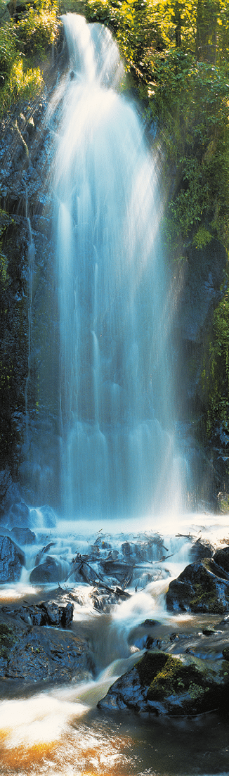 Fotografoval: Libor Svacek, Kaplicka 447, Cesky Krumlov, 381 01 CZ