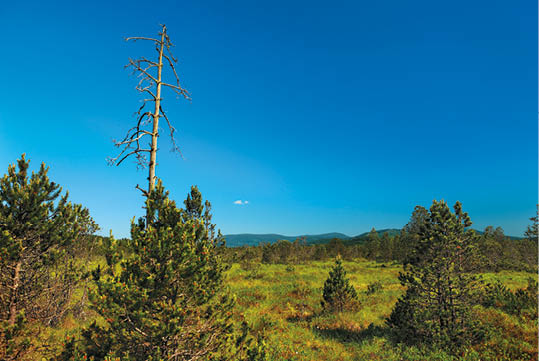 Kniha  VLTAVA - Libor Svacek  - vydani 1 , rok 2011 Photographer: Libor Svacek; box fotosvacek cz; Mobile: +420 602428001; 