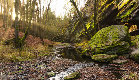 Zidova strouha - stream near Bechyne in Czech Republic 