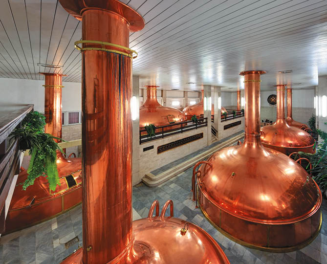 Kniha  CESKE BUDEJOVICE - Libor Svacek  - vydani 1 , rok 2012 Photographer: Libor Svacek; box fotosvacek cz; Mobile: +420 602428001; 