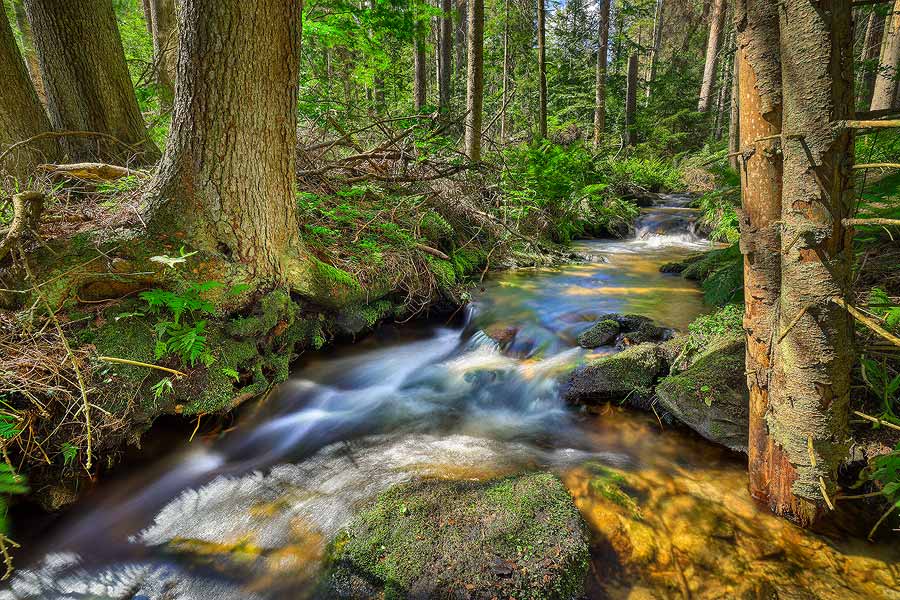 Šumava na Prachaticku, foto: Libor Sváček